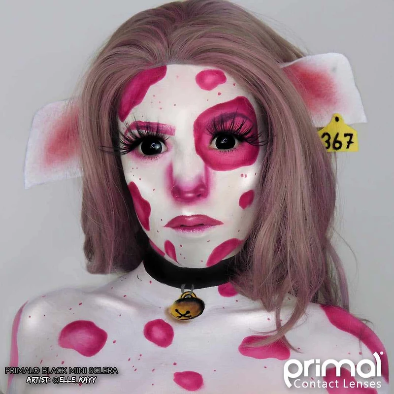 Mini Sclera