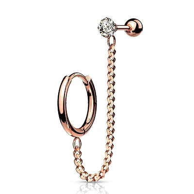 Premium Surgical Steel Claw-Set Crystal Ball Back + Chain Earrings