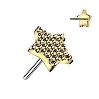 Premium G23 Titanium Textured Star Fancy Threadless Top