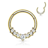 Claw-Set Crystals Segment Ring 16g