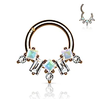 2 Tone Crystals Segment Ring 16g