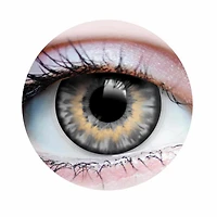 Sunrise Ash - Grey Colored - Primal Contact Lenses