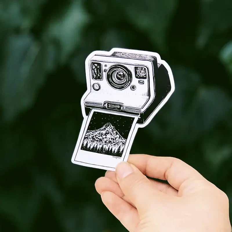 Polaroid Camera II