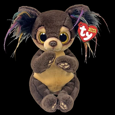 Toffee Dog Brown Belly Reg