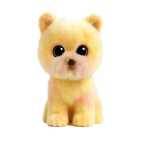 Palmer Pomeranian Yellow Reg