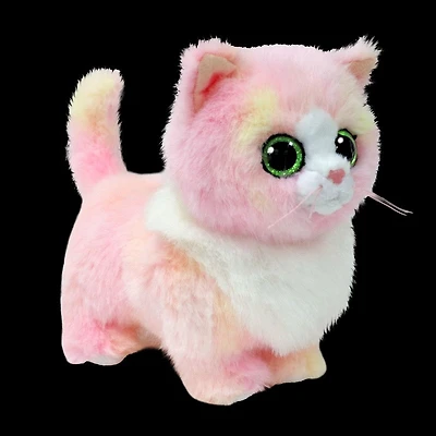 Lady Pink Cat Reg