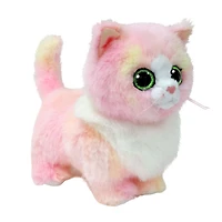 Lady Pink Cat Reg