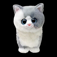 Purley Cat Gray Reg