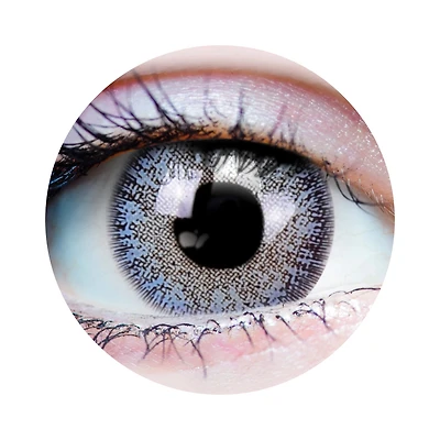 Dream Ocean Contacts