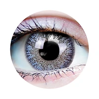 Dream Ocean Contacts