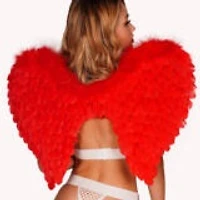 Wings Red