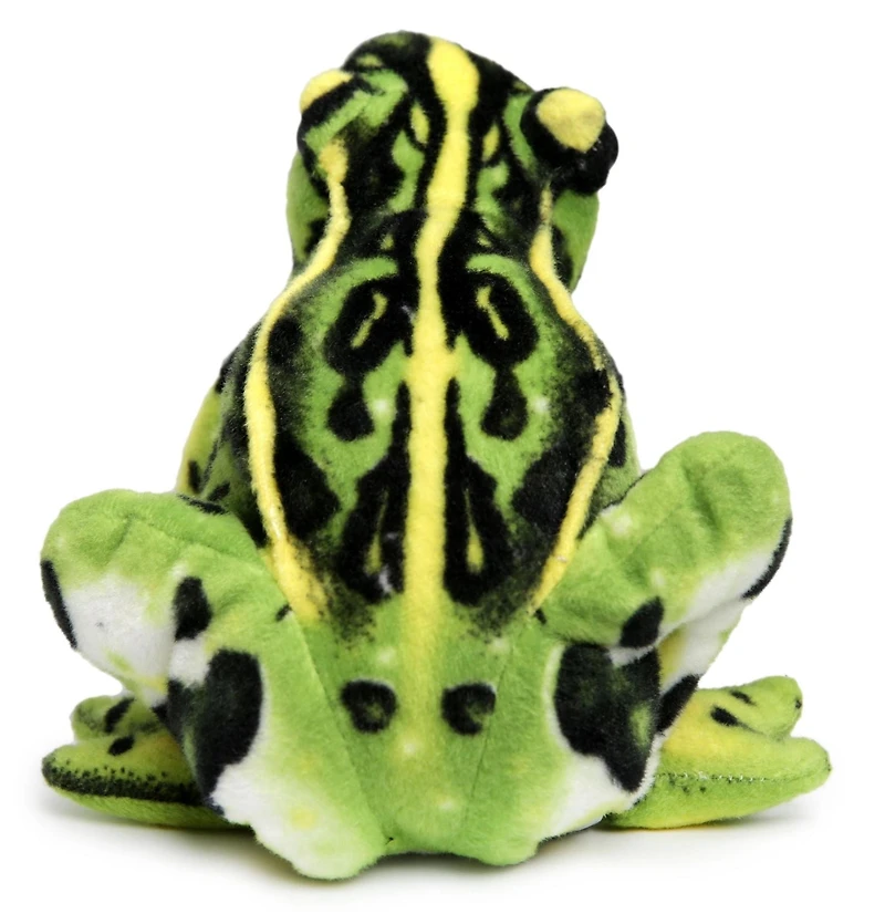 Frisco the Frog | 10 Inch Stuffed Animal Plush