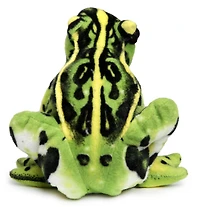 Frisco the Frog | 10 Inch Stuffed Animal Plush