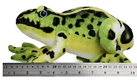 Frisco the Frog | 10 Inch Stuffed Animal Plush