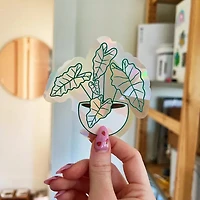 Alocasia Suncatcher