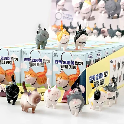 Best Friend Cat Figure Collectable Keyring Mystery Box