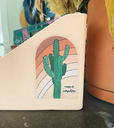 Cactus Rainbow Magic Is Everywhere