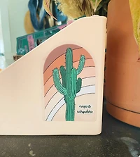 Cactus Rainbow Magic Is Everywhere