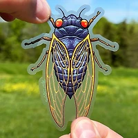 Cicada Clear Sticker