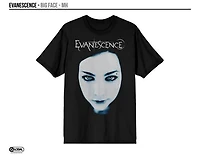 Evanescence Big Face