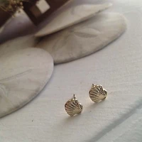 Amatheia Seashell Stud In Gold