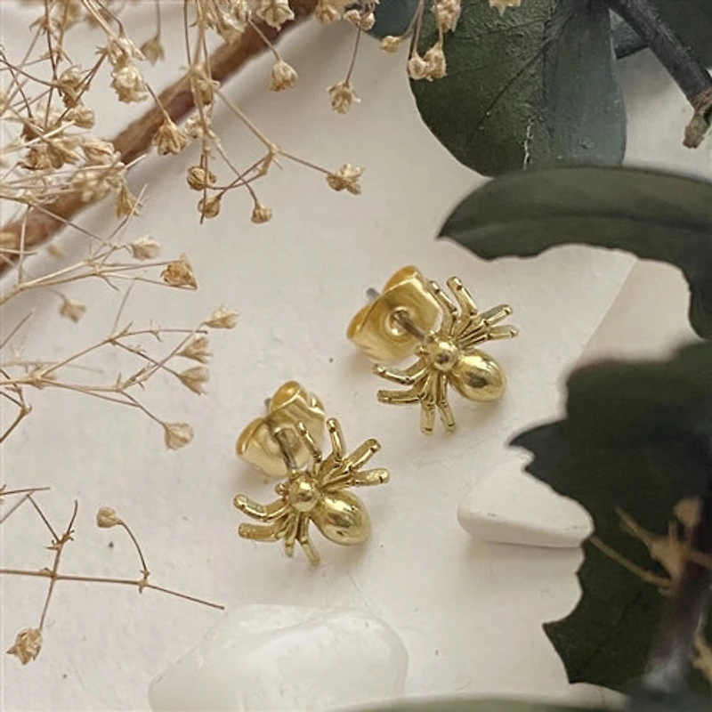 Charlotte Raw Brass Spider Studs.