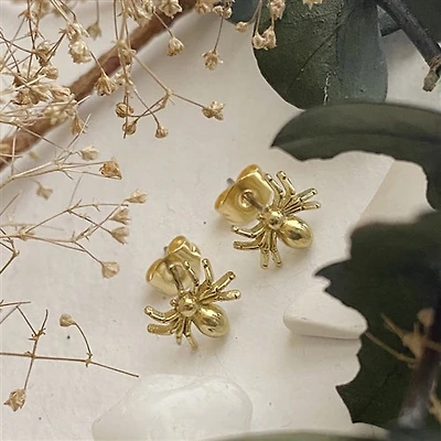 Charlotte Raw Brass Spider Studs.