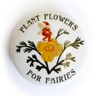 Plant Flowers For Fairies Pin