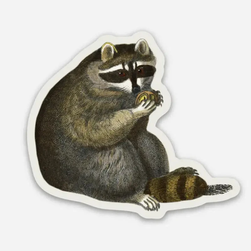 Unbothered Raccoon Sticker