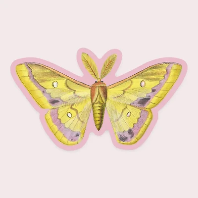 Splendid Moth - Gap Filler Sticker