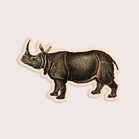 Regal Rhino - Gap Filler Sticker