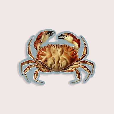 Cheeky Crab - Gap Filler Sticker