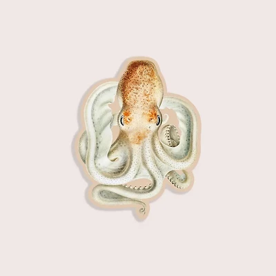 Intense Octopus - Gap Filler Sticker