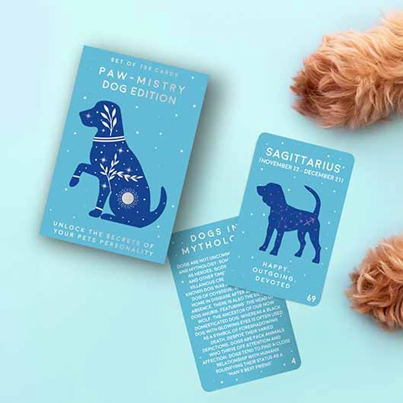 Pawmistry Dog Edition