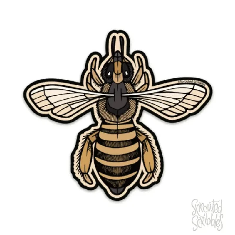 Honey Bee Sticker