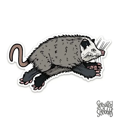 Hopping Opossum