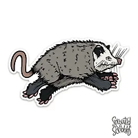 Hopping Opossum