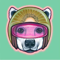 Kiwi Bear Sticker