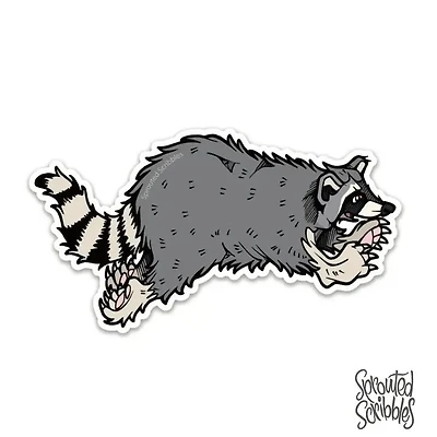 Leaping Raccoon