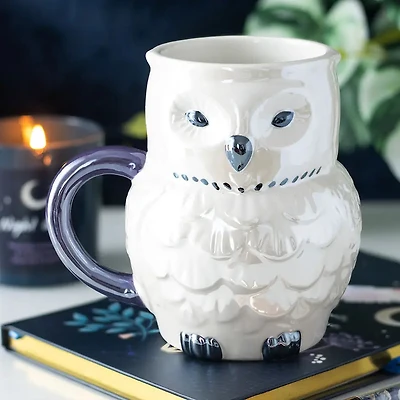 Iridescent Owl Mug