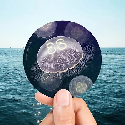 Moon Jellies Sticker