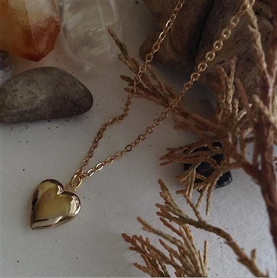 Total Eclipse Of The Heart-Tiny Heart