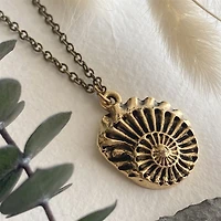Nautilus Round Nautilus Shell Bronze Necklace