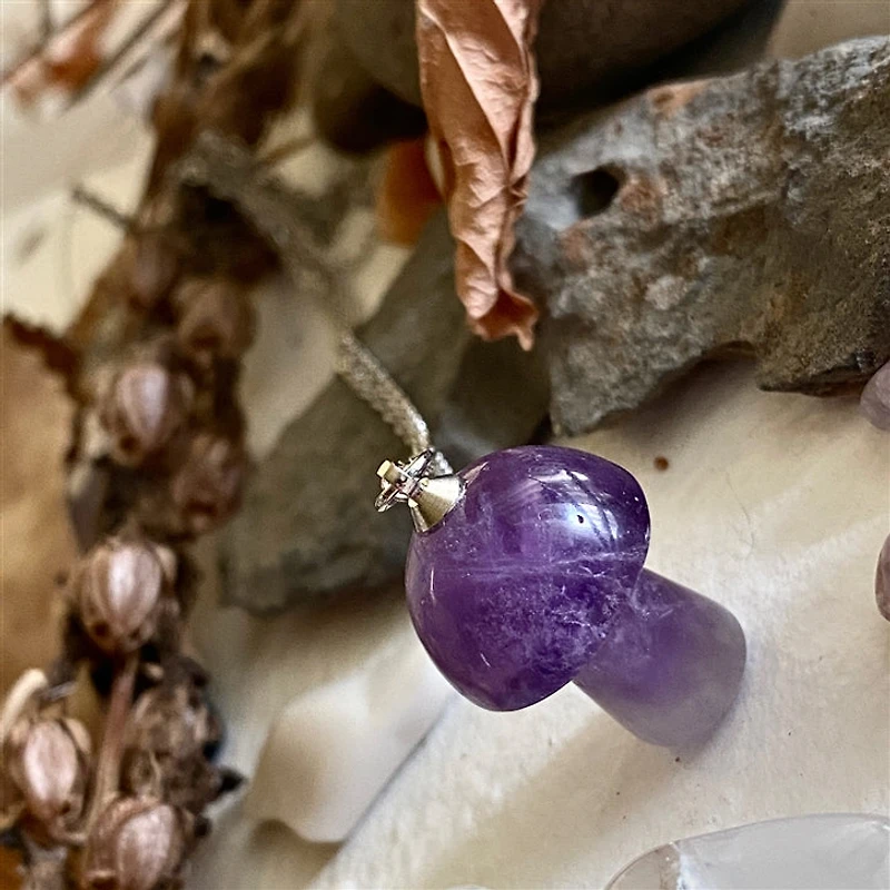 Bolete Stone Mushroom Pendant Necklace In Amethyst