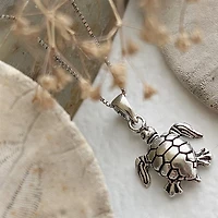 Gamera Oxidized Turtle