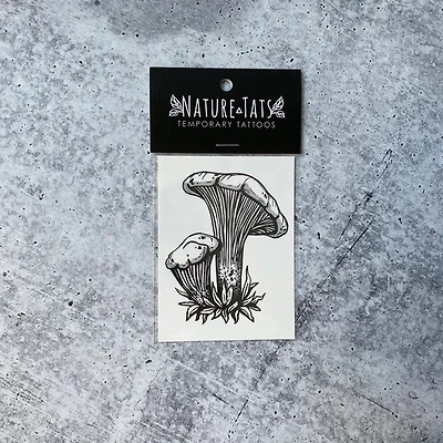 Chanterelle Mushroom