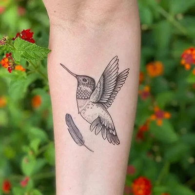 colibrí