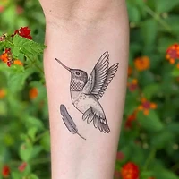 colibrí