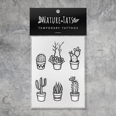 Potted Cactus
