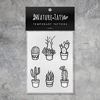 Potted Cactus